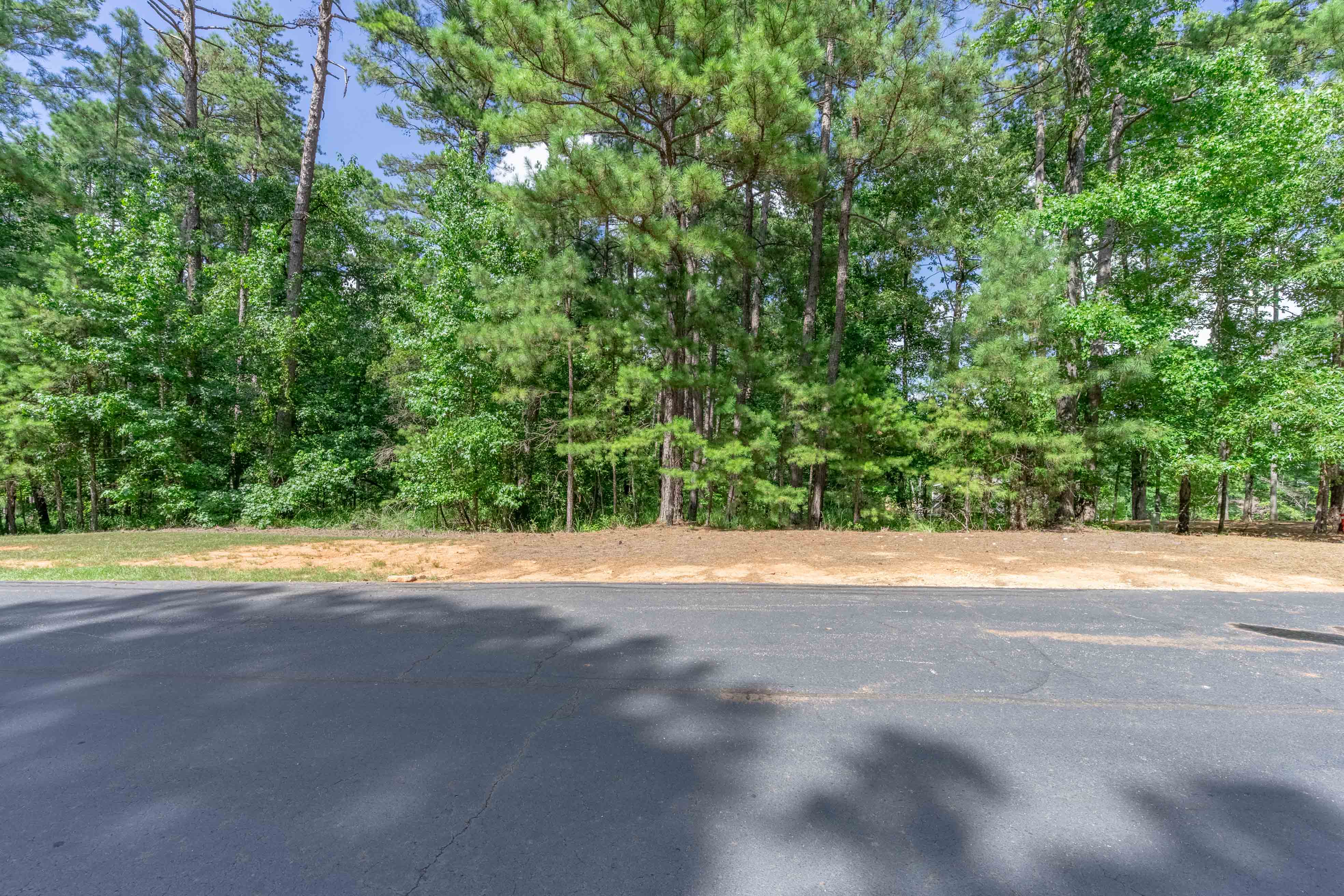 1200 Callahan's Ridge image 3
